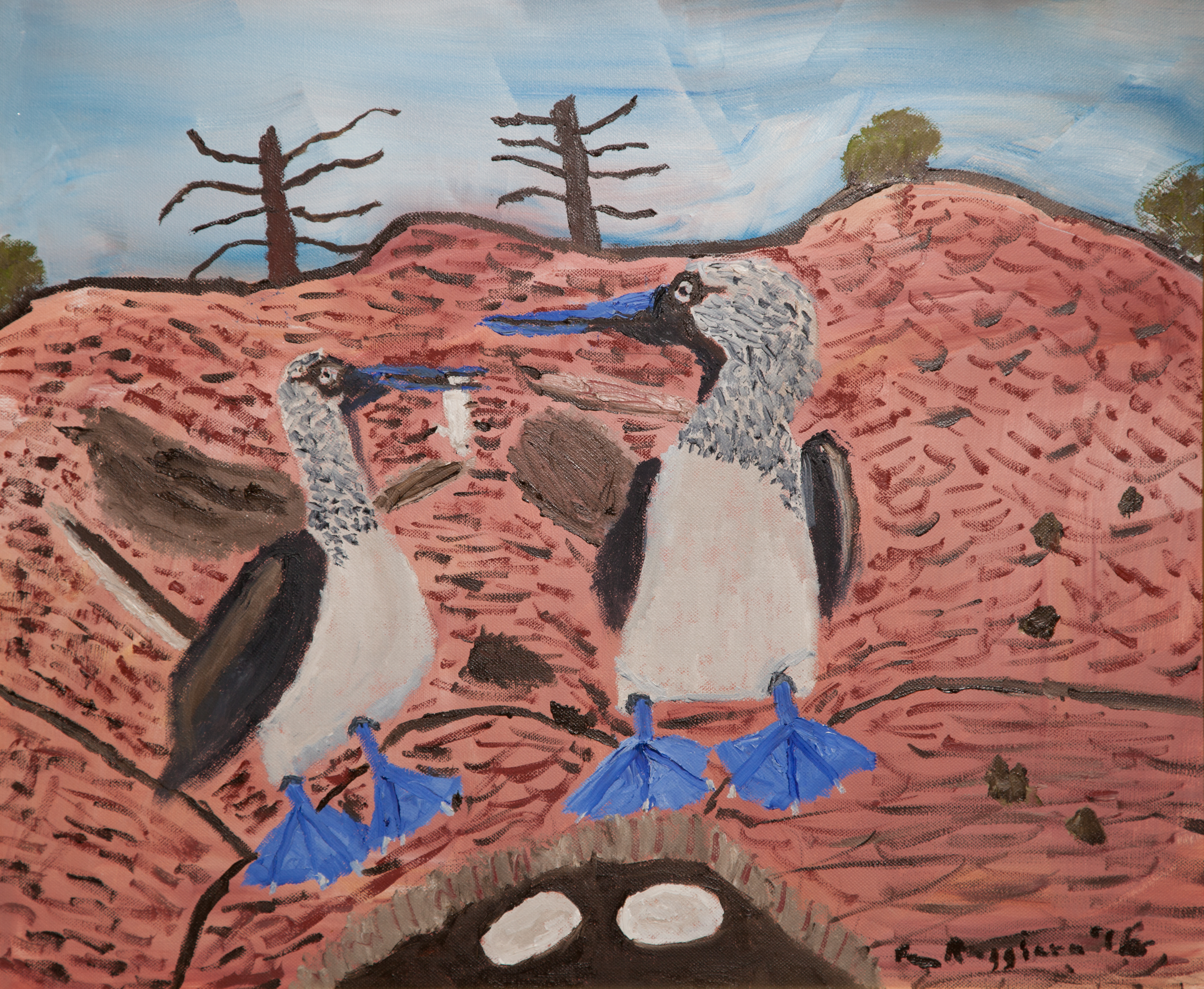 "Blue Footed Boobies Galapagos Island"