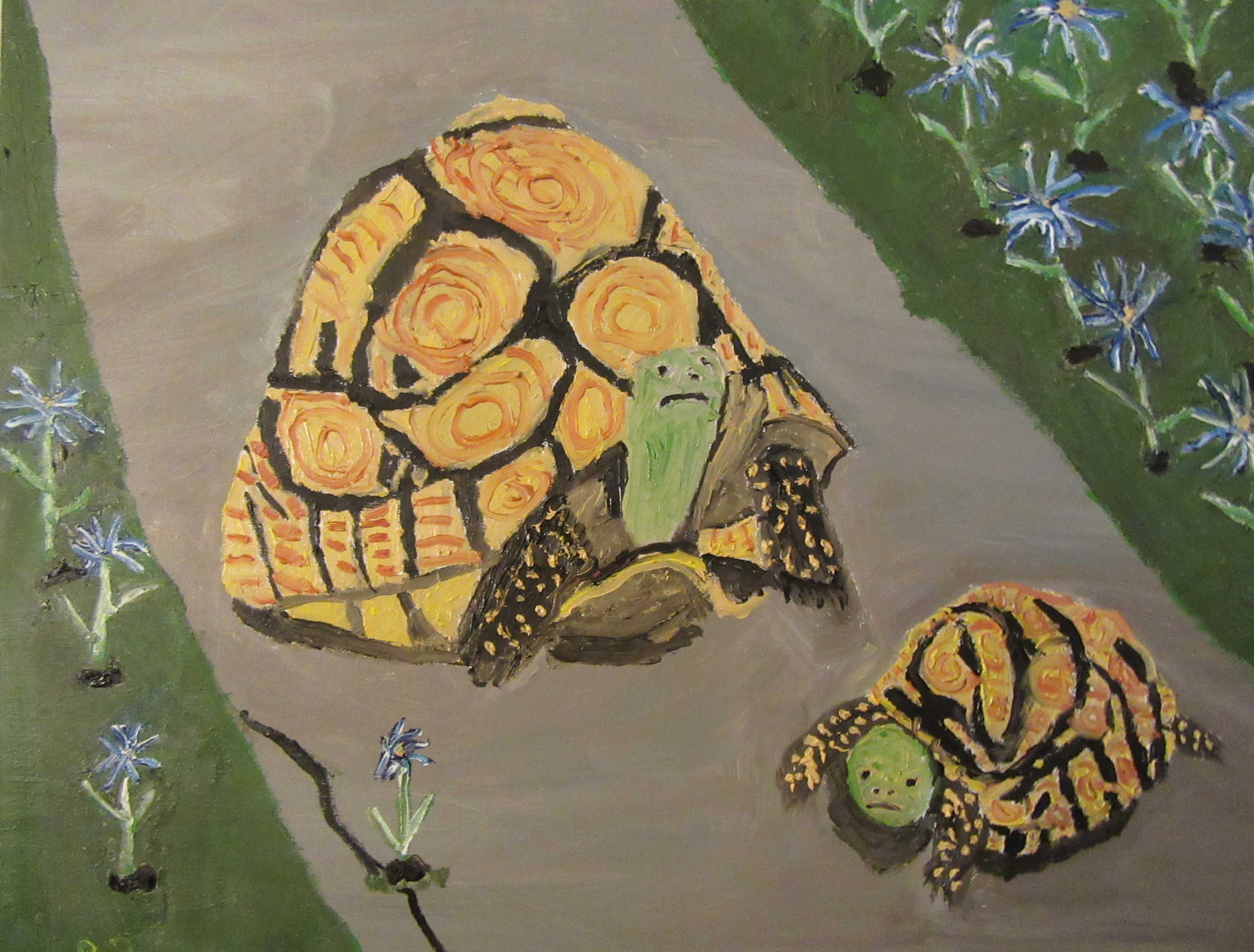 "Tortoises - Can I Come Out Now?"